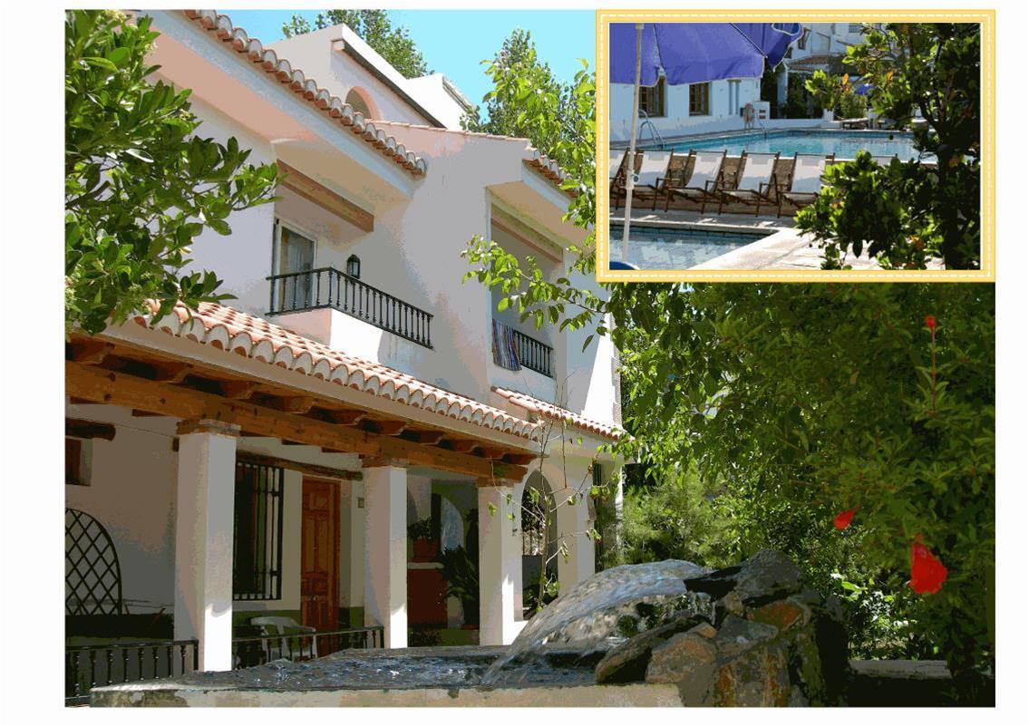 Alcadima 3*